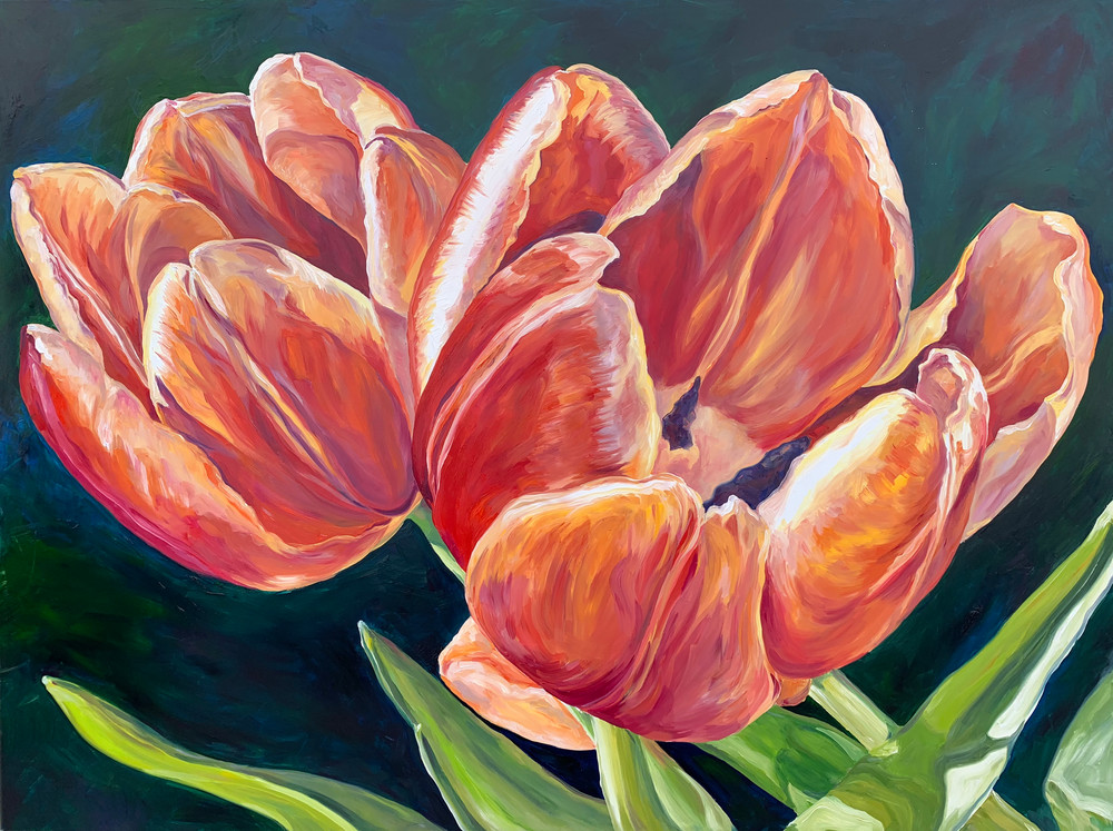 Tulip Sunset Art | ebaumeistermcintyre