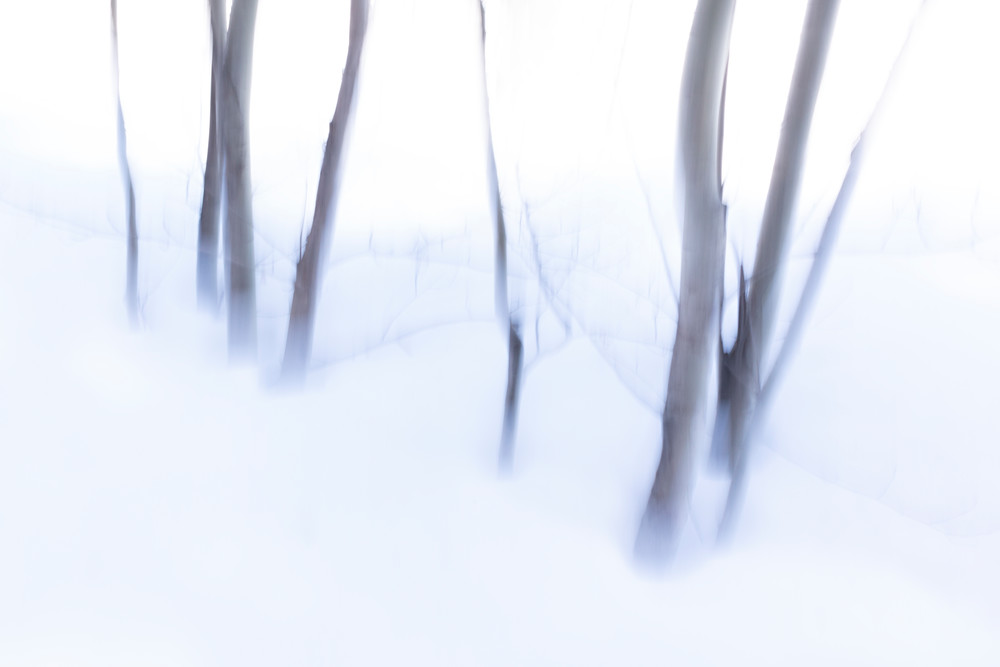 Winter's Last Tango | Terrill Bodner Photographic Art