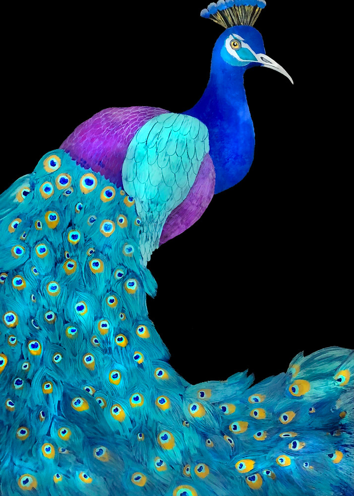 Peacock Art | Surface Designed 