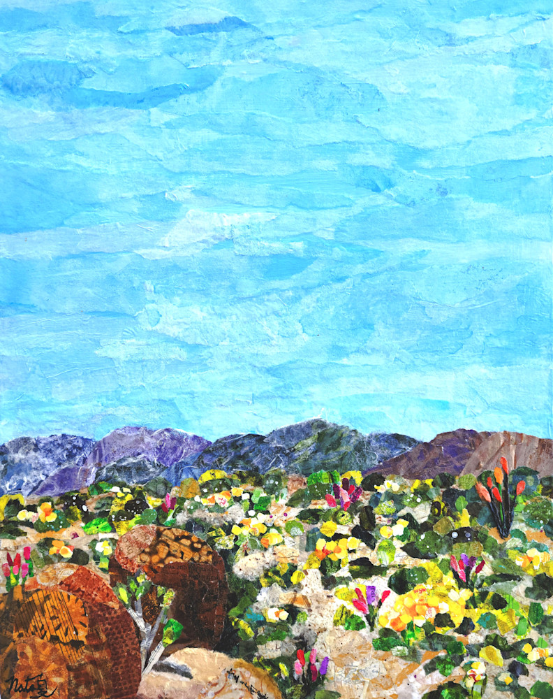 Spring In Anza Borrego Desert Park Art | Poppyfish Studio