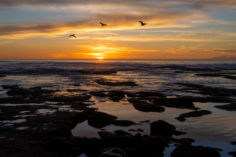 Sunset & 3 Birds Over The Tide Pools At Casa South, La Jolla 01.02.21 Photography Art | Pacific Coast Photo