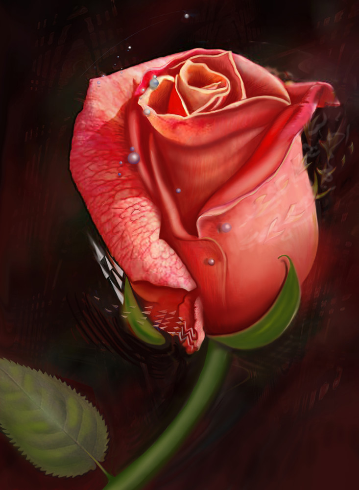 Art Red Rose Single Copy Art | stevied