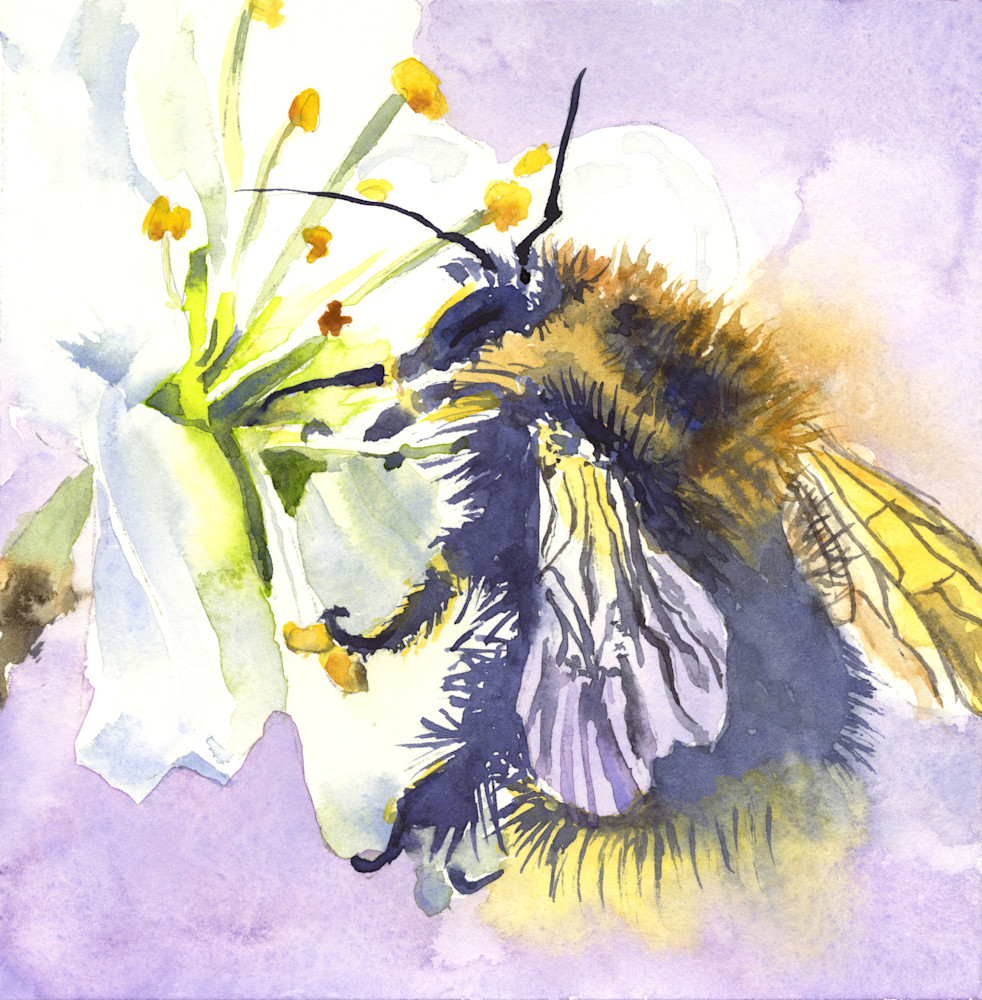Mr. Bee Art | Machalarts Watercolor Studio