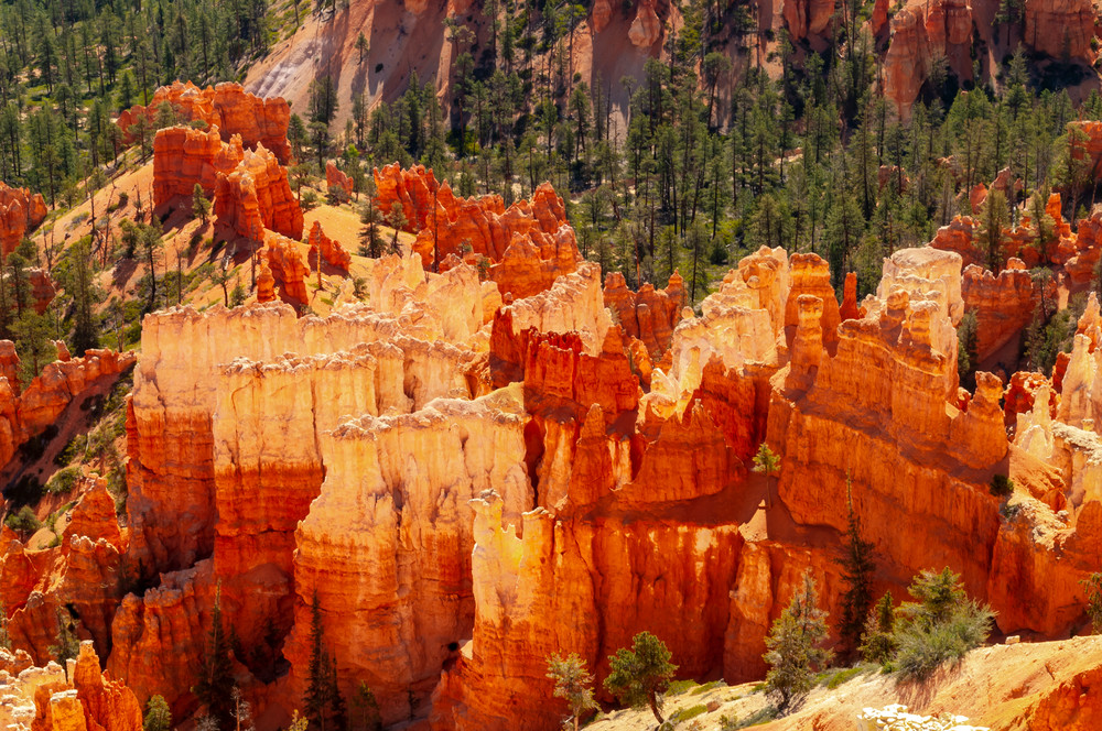Bryce  Canyon National Park Colors Photography Art | Great Wildlife Photos, LLC