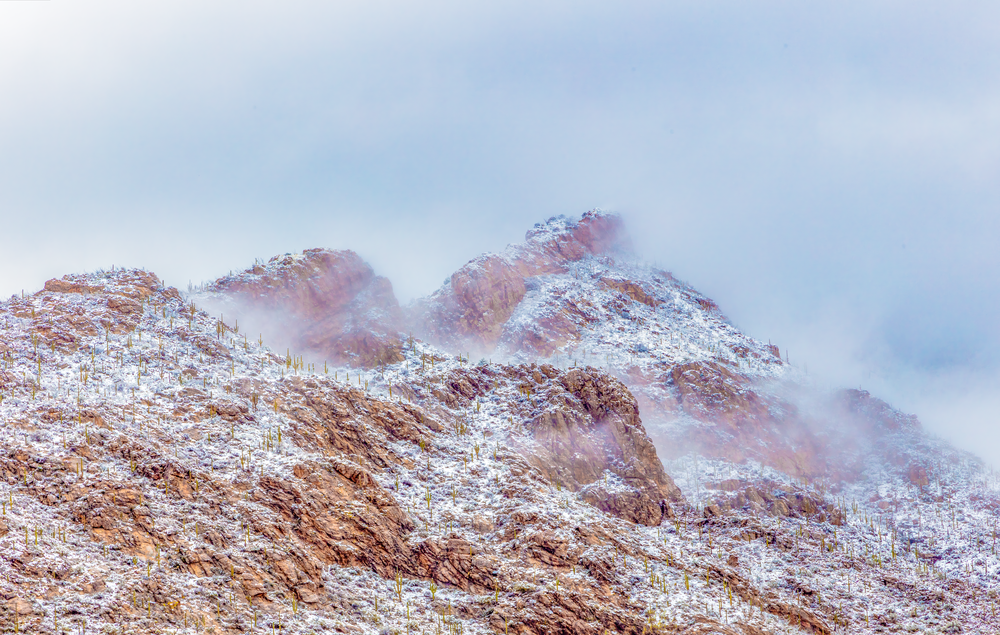 Desert Snow Viii Art | JRootGallery.com