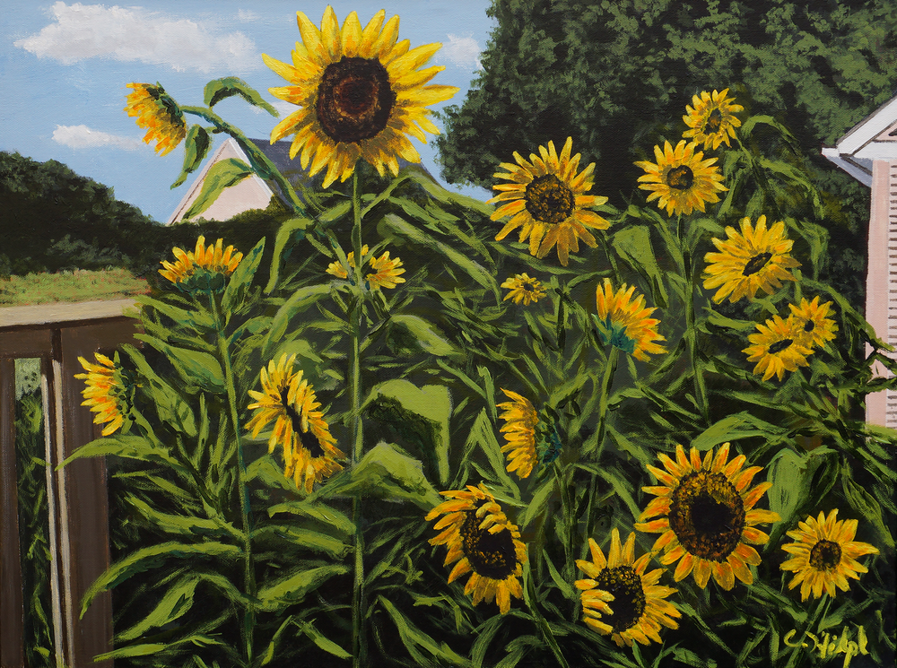 Sunflowers In Garden Print