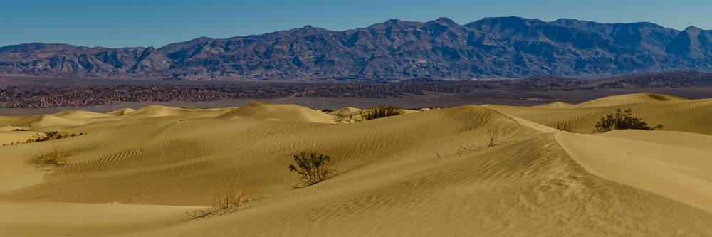 Mesquite Flat Dunes Panoramic | Jarrod Ames Photography
