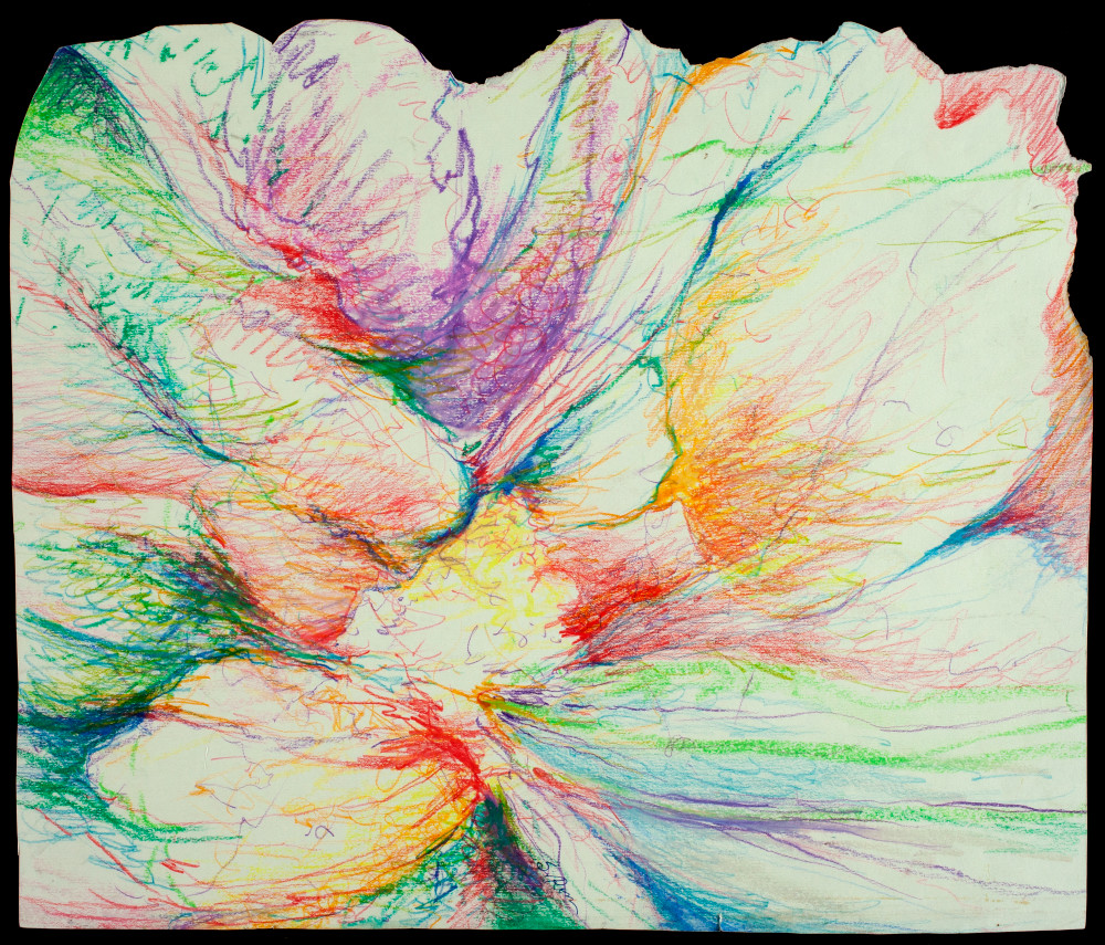 Floral Close Up
