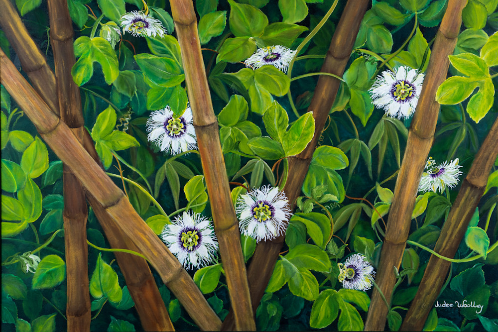 Passionfruit Flower Bamboo Forest Art | Fantasy Art By Judee