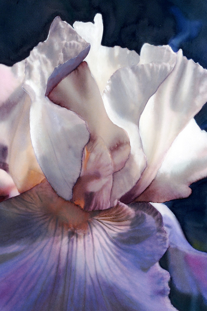Spring Iris  Art | Robert Duvall Landscape Paintings