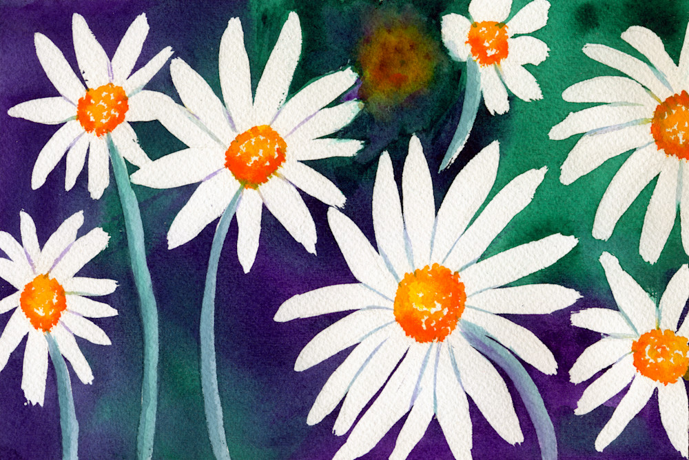 Say It With Flowers  Daisies Art | Jeanine Colini Design Art