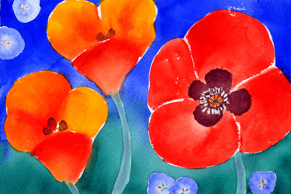 Say It With Flowers  Poppies Art | Jeanine Colini Design Art