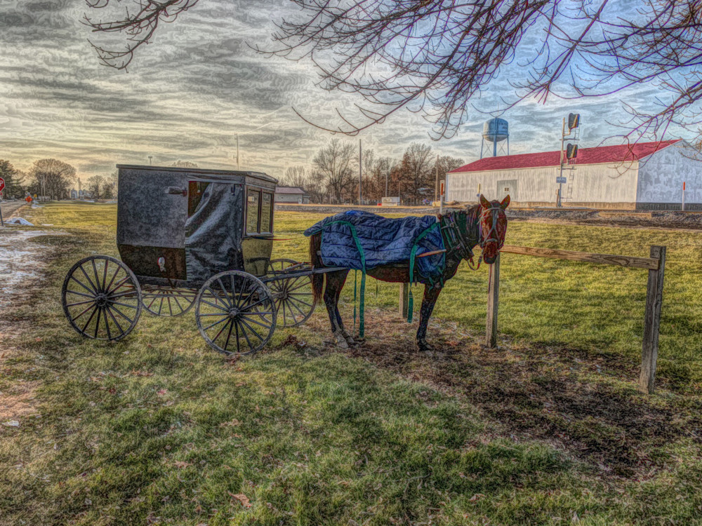 Amish Buggy Art | terrynewell