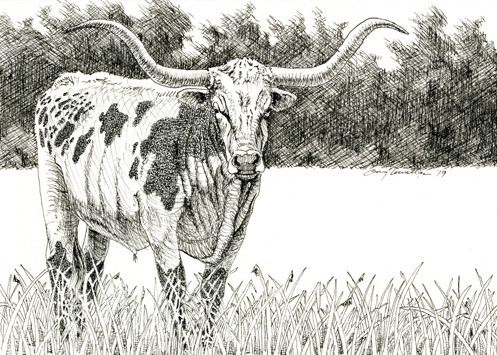 Longhorn Cow 2 Art | Greg Lewallen