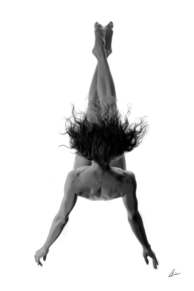 Feeling Free, Series On Glass,  2 Of 3 Sondra Photography Art | Audia Art