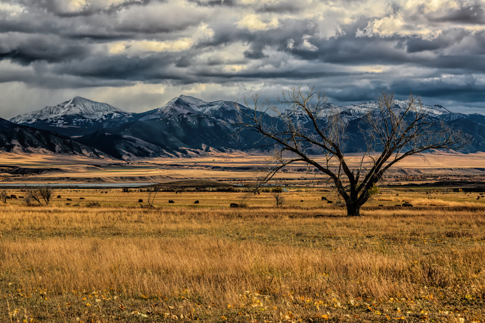 Lone And Fan From North Meadow Photography Art | Monty Orr Photography