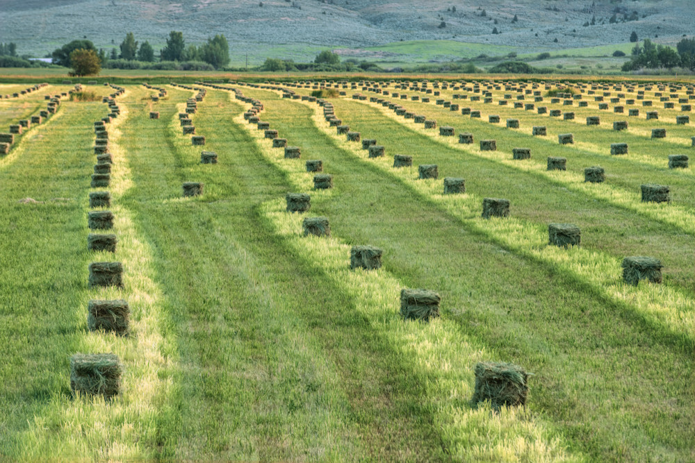 Bales Of Hay Photography Art | Monty Orr Photography