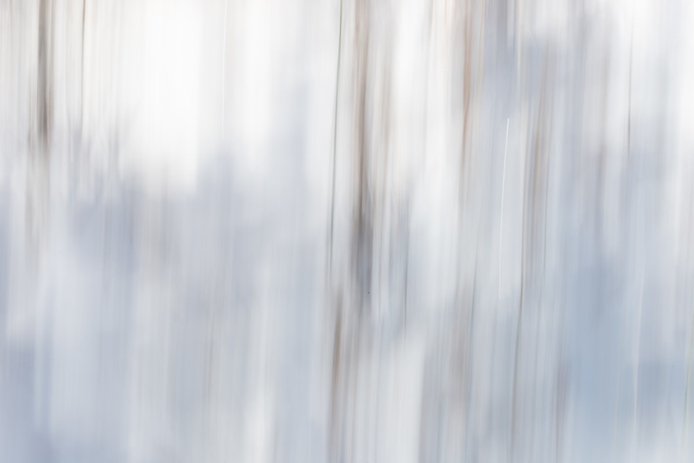 Winter Forest Vision Photography Art | matt lancaster art
