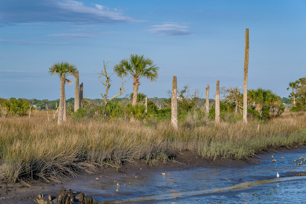Natural Florida Castaway Photography Art | kramkranphoto
