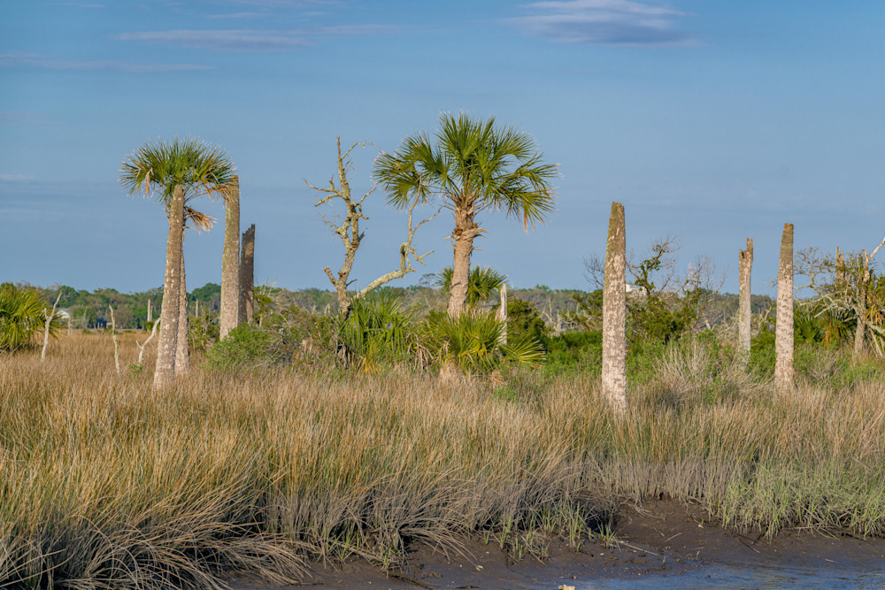 Natural Florida Light Photography Art | kramkranphoto