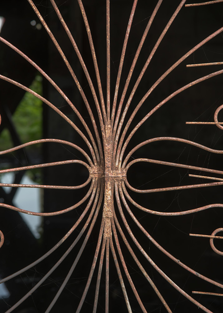 Abstract Belize Photography Art | Terry Blackburn Fine Art