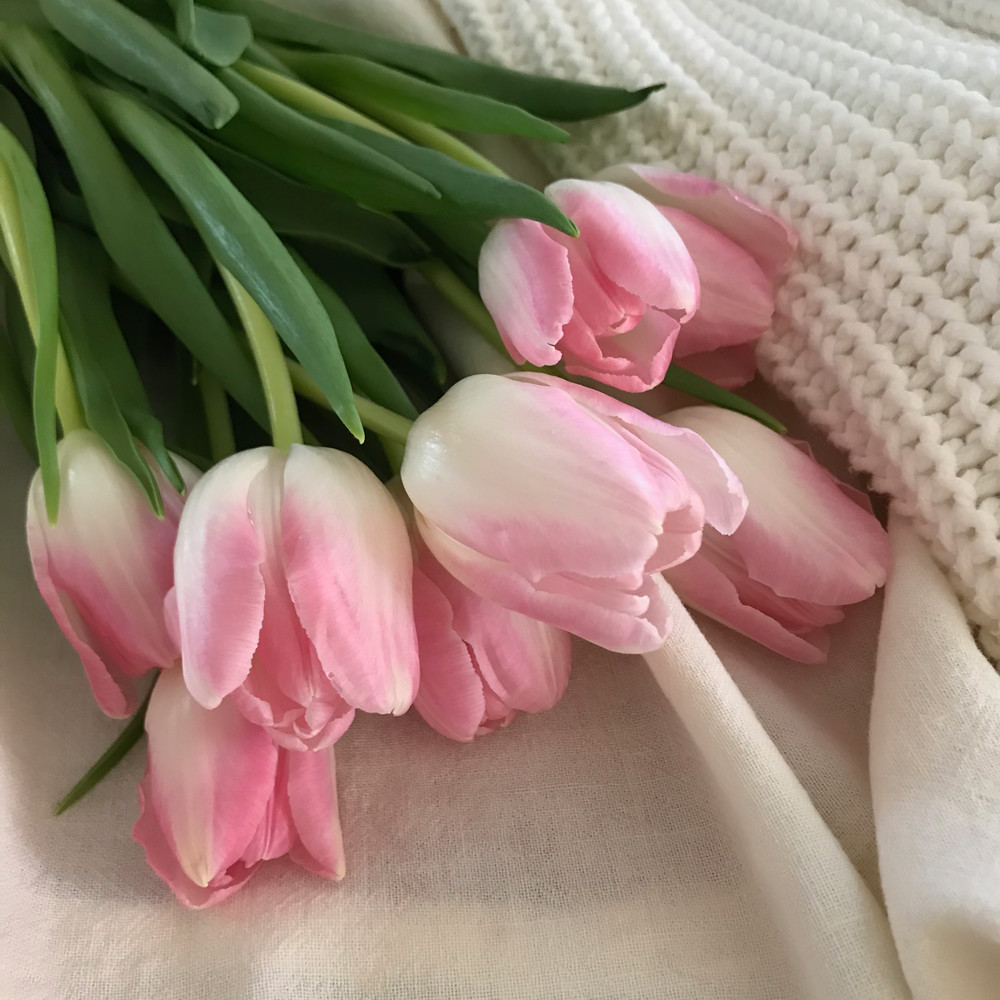 Tulips, textiles, photograph, print, pink-tulips