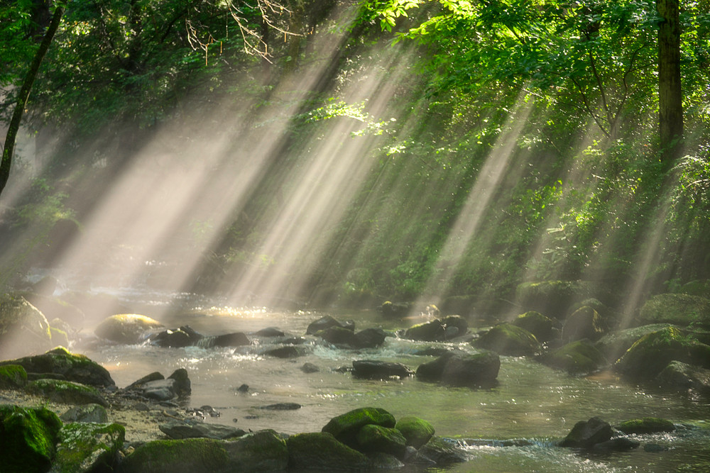 Rays At The Creek  Photography Art | Photography by Desha