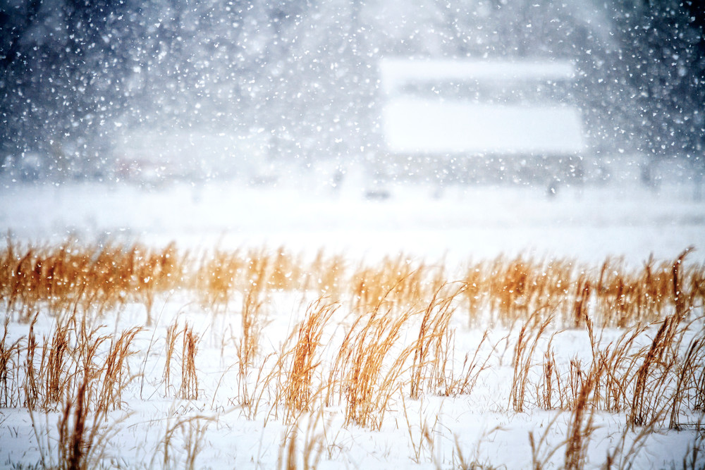 Snowstorm Photography Art | Images of the Ozarks, Photography by Steve Snyder