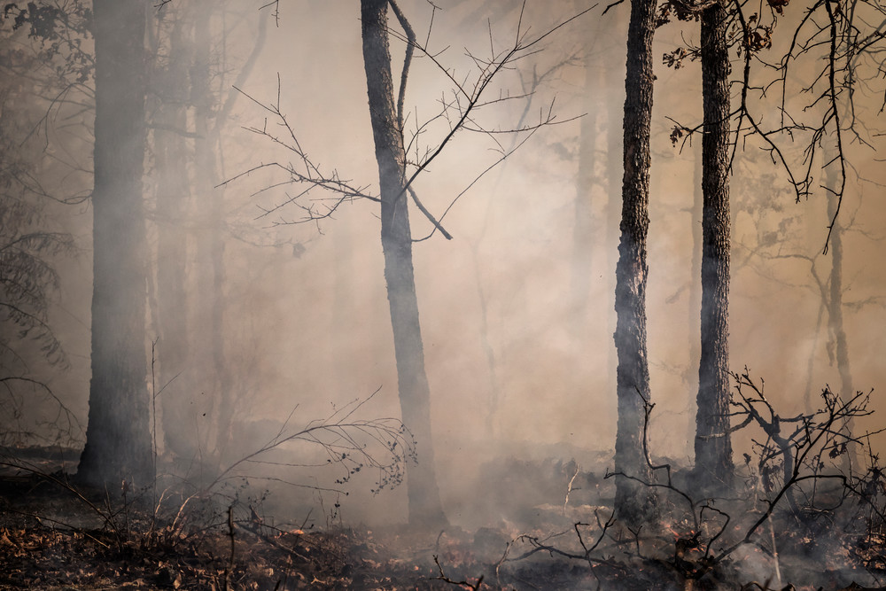 Eerie Smoke Photography Art | Images of the Ozarks, Photography by Steve Snyder