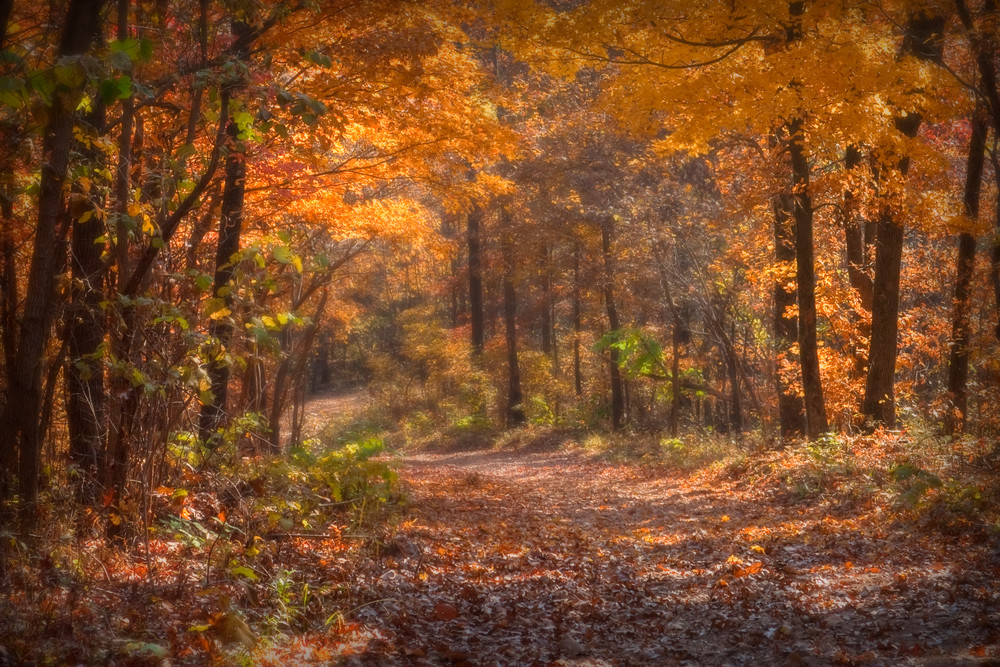 Fall in the Ozarks.