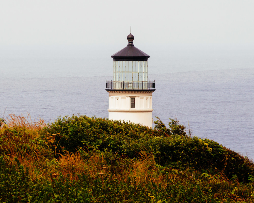 Cape Disappointment 2019