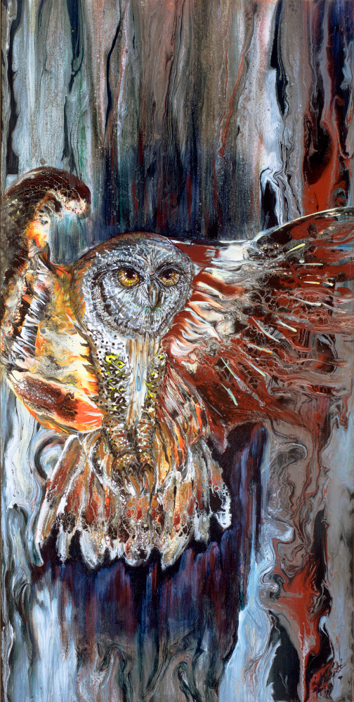 Phoenix Owl Art | lisaabbott.art