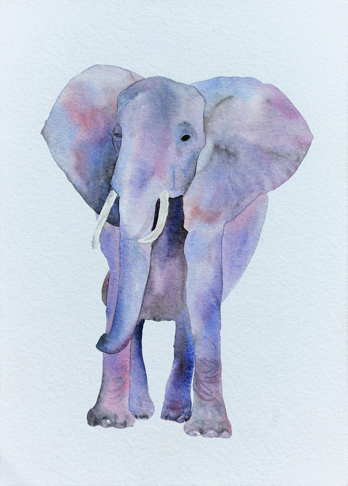 Watercolor painting of elephant during lockdown