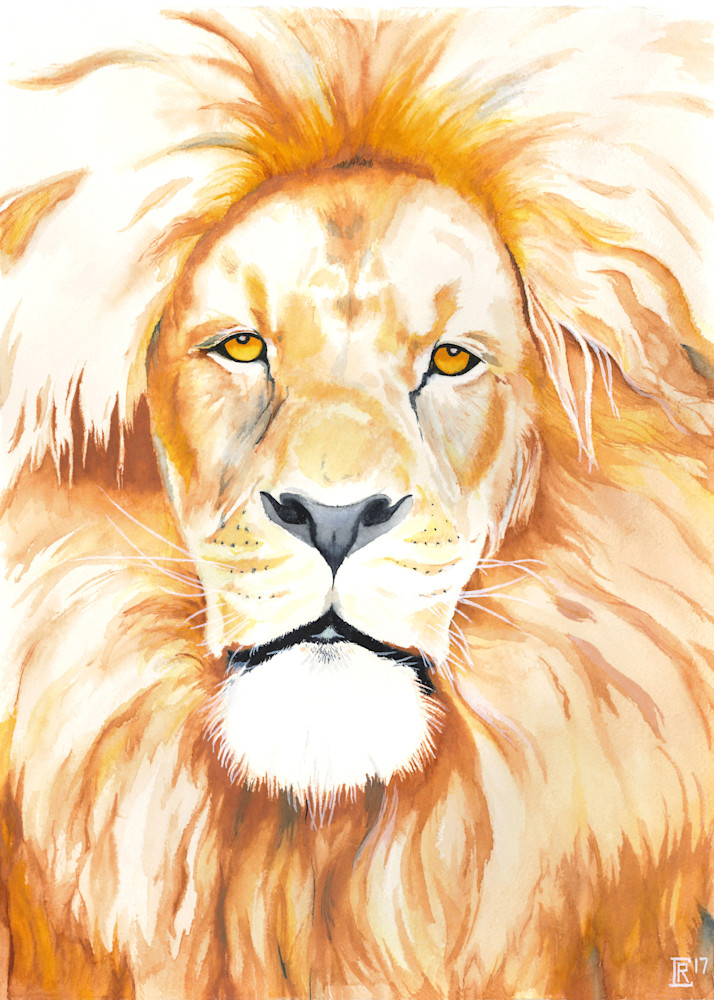 Lion Art | Chris Randall Creative