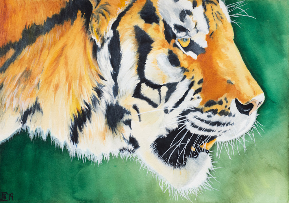 Tiger Art | Chris Randall Creative