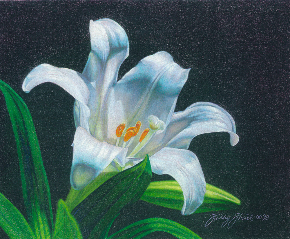 Easter Lily 2 Art | Kathy Koziak Art