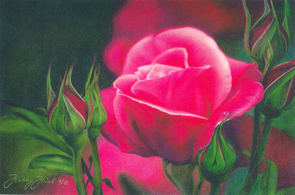 Romantic Rose Art | Kathy Koziak Art