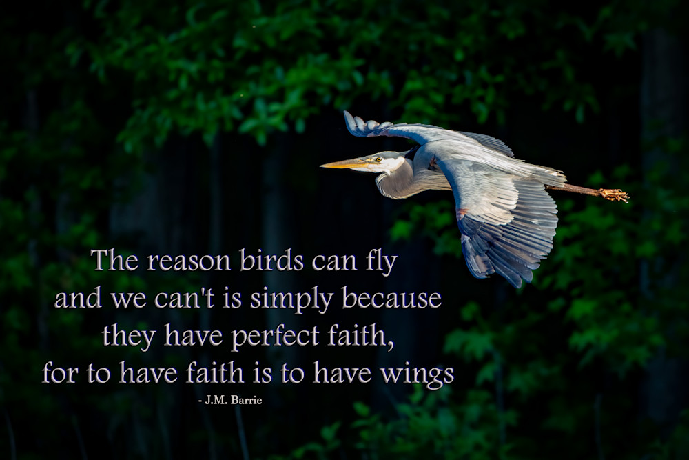 To Have Faith is to Have Wings To Have Faith is to Have Wings