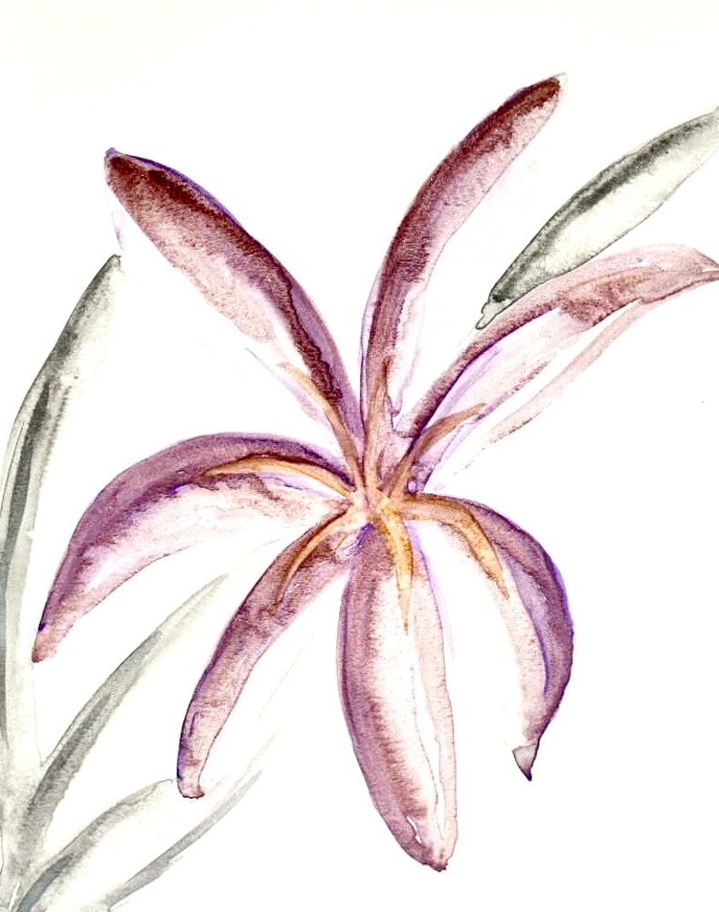 Gazing Lily Art | Kimberli Esther Art for Dragonfly Couture Fashions LLC