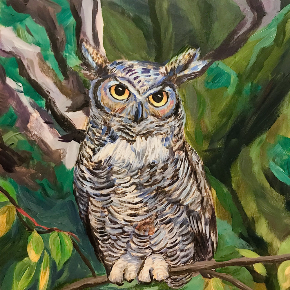 Great Horned Owl Alaska Art by Amanda Faith Thompson