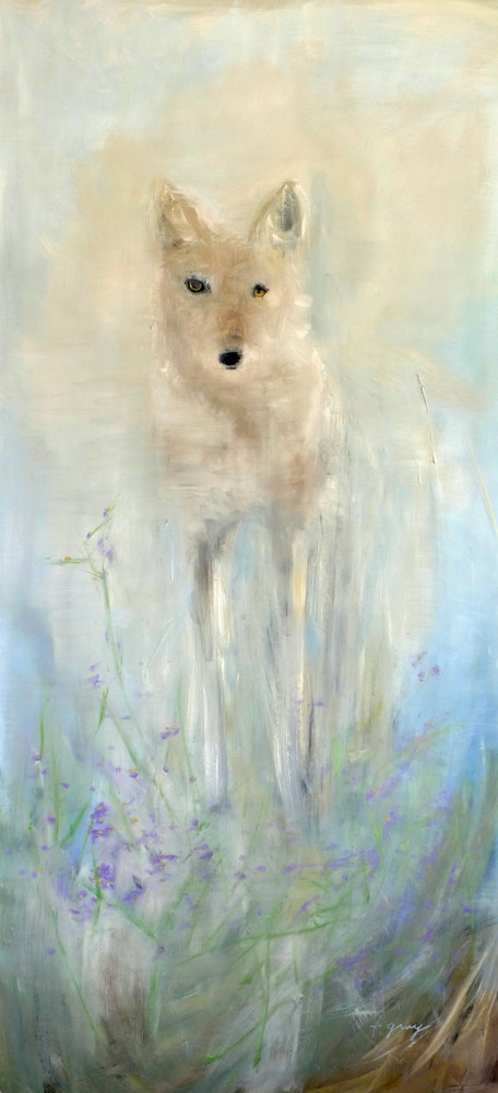 Wild White Coyote - Wolf