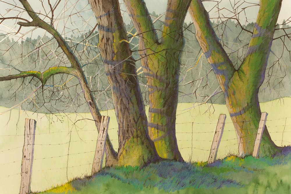 Mossy Walnut Trees Oe Art | FiddleSong Studio
