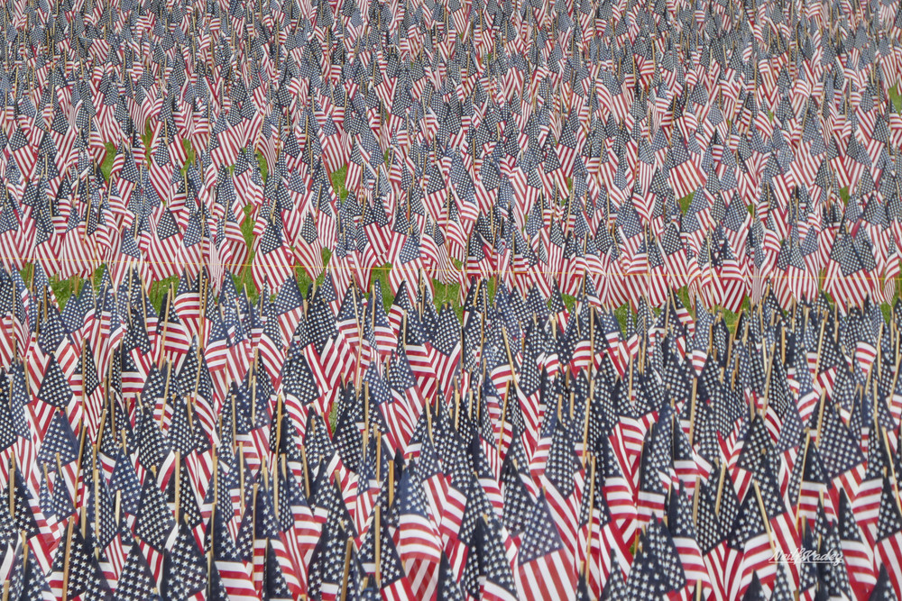 Flags On Boston Common Photography Art | neilfkadey
