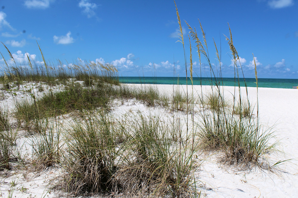 Anna Maria Sea Oat Beach Sand View Photography Art | PixByNic Photography LLC