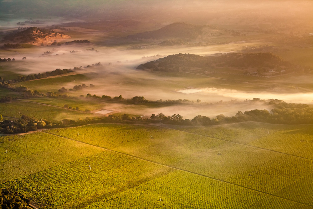 Aerial view of morning fog in Napa Valley