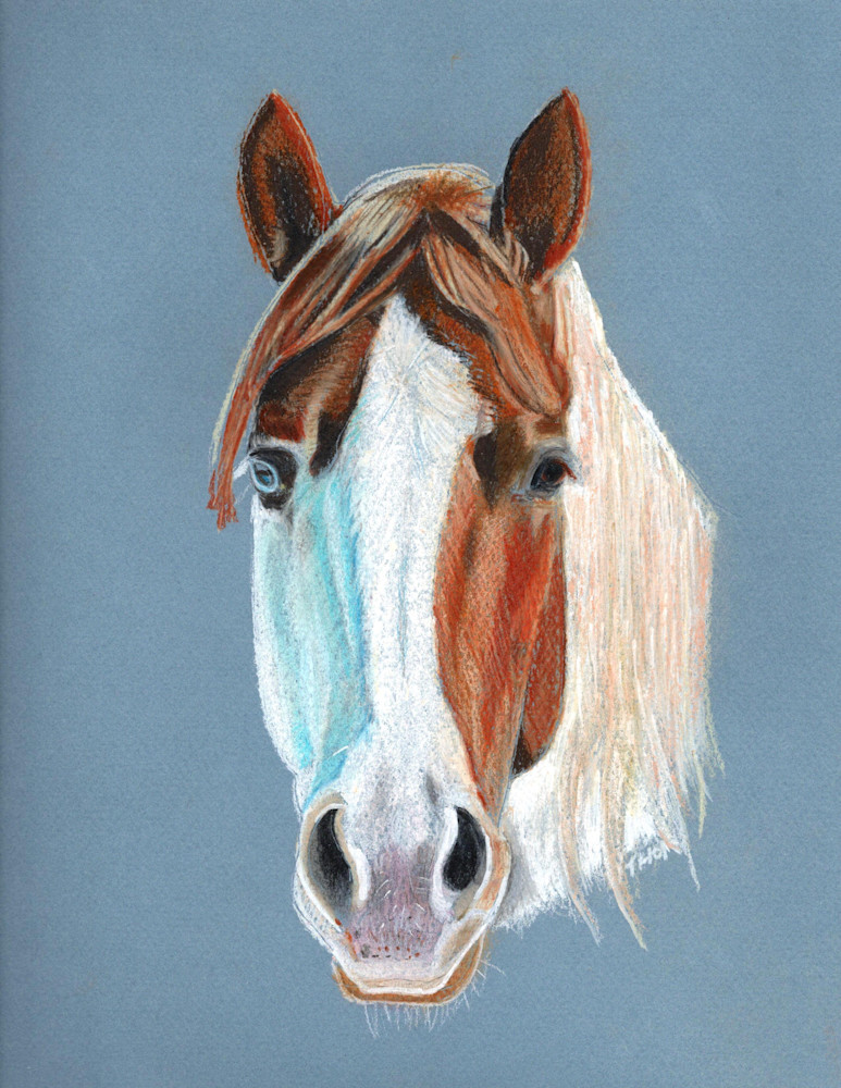 Paint Horse Jack Art | Thom Shepherd Art