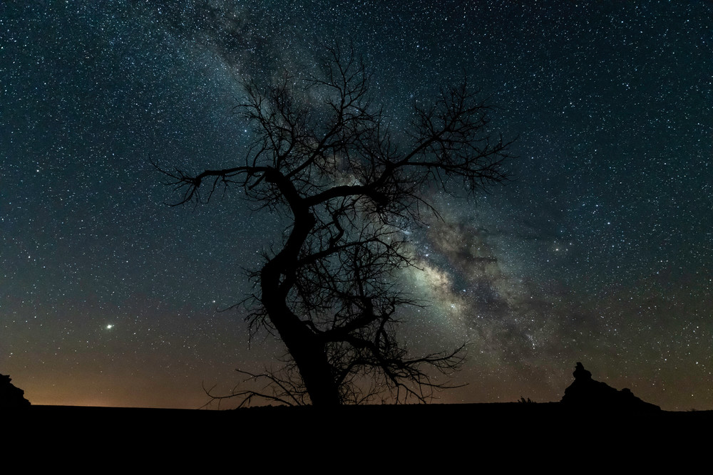 Lone tree Milky Way