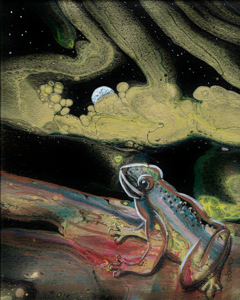 "Dart Frog Night - Embellished Fluid Art Painting | Paintpourium"