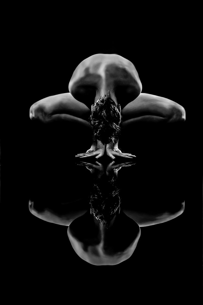 Rooted In Reflection