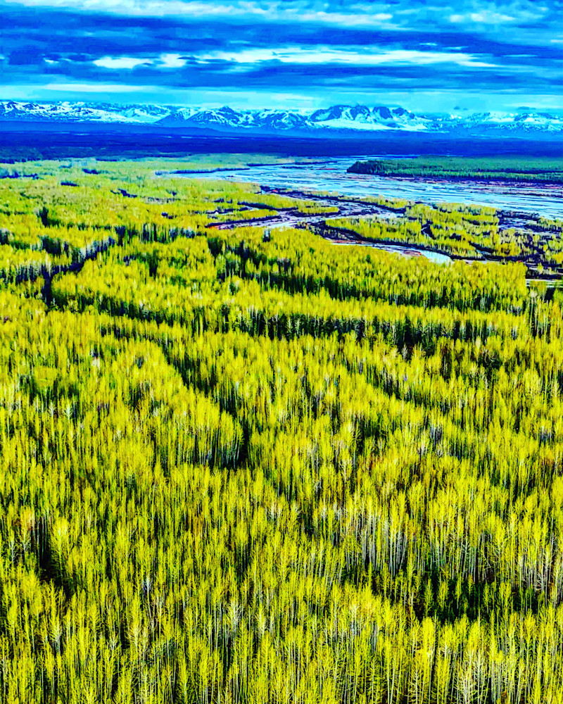 Summer Green Alaska Photography Art | Visionary Adventures, LLC